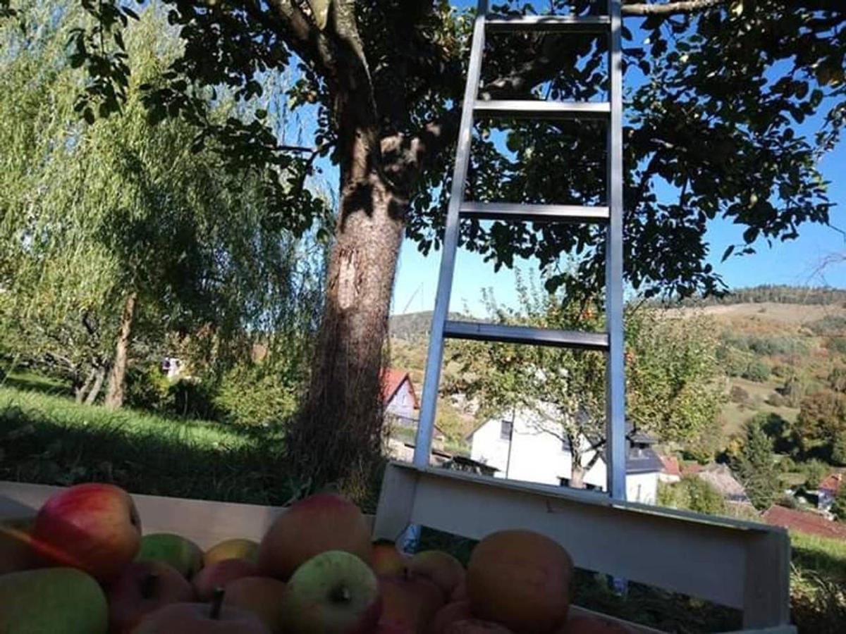 Les Locations De Stephanie ,Gite Le Verger Sondernach Eksteriør bilde