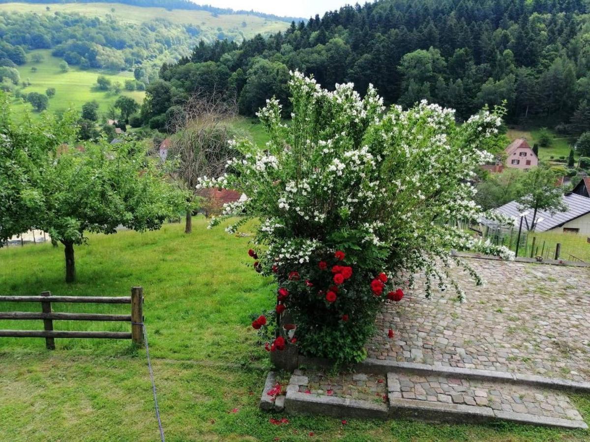 Les Locations De Stephanie ,Gite Le Verger Sondernach Eksteriør bilde
