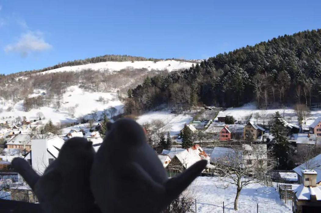 Les Locations De Stephanie ,Gite Le Verger Sondernach Eksteriør bilde