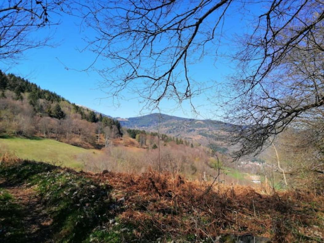Les Locations De Stephanie ,Gite Le Verger Sondernach Eksteriør bilde