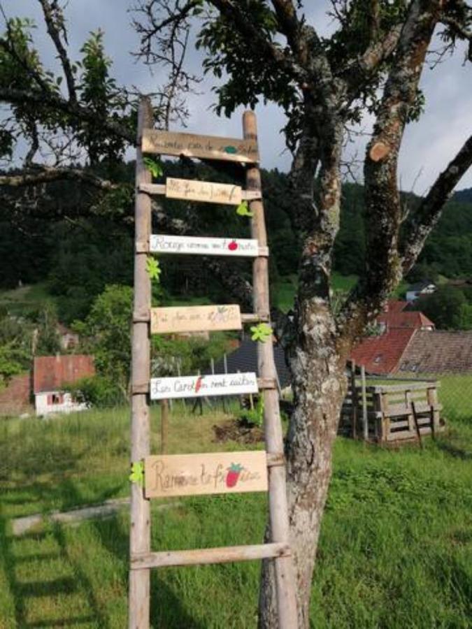 Les Locations De Stephanie ,Gite Le Verger Sondernach Eksteriør bilde