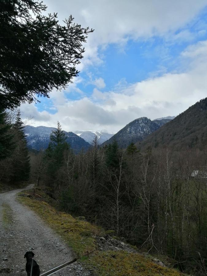 Les Locations De Stephanie ,Gite Le Verger Sondernach Eksteriør bilde